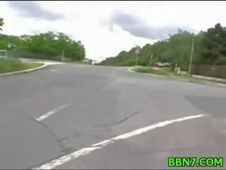 Shorthaired ціпонька yr міссісіпі