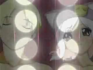 קטן מוניקה monogatari ova 01
