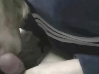 한국의 스튜어디스 새끼 영화