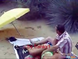 性 引起 一对 在 该 海滩