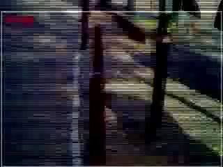 현실 암캐 입 씨발
