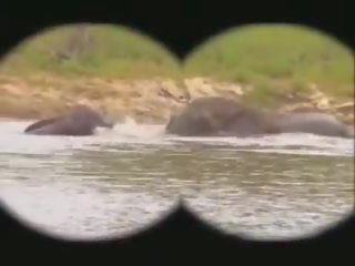 Công viên kruger: miễn phí kruger công viên xxx phim quay phim fa