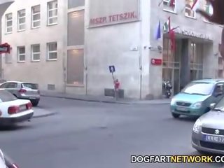 Nesty отримує для ебать її улюблена чорна порно зірка