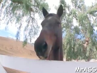 Anal