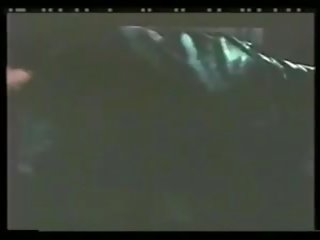 스텔라 1977