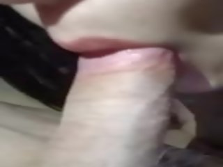 這 早晨: 免費 早晨 管 臟 夾 mov 03