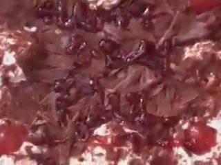 Брудна день народження вечірка для 3 індійська лесбіянки: безкоштовно брудна відео 38
