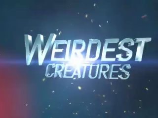 Dendrophilia Fantasy&period; 3D xxx video with monster