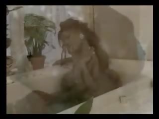 烏木 適婚 混合
