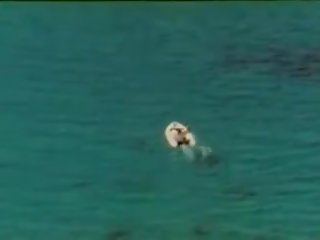 Heisser xxx video auf ibiza, mugt xnxx xxx clip mugt ulylar uçin clip a9