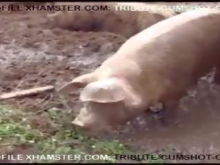 Ugly BBW grown Big Pussy Fucking, Free xxx clip 48